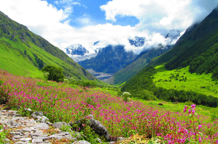 Valley of Flowers