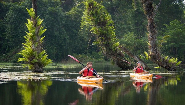 Kayaking in Backwaters of Kerala