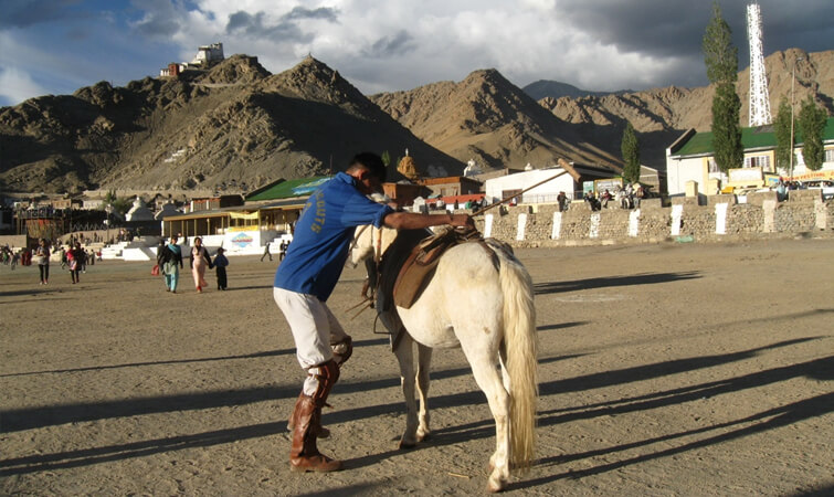 Polo in Ladakh