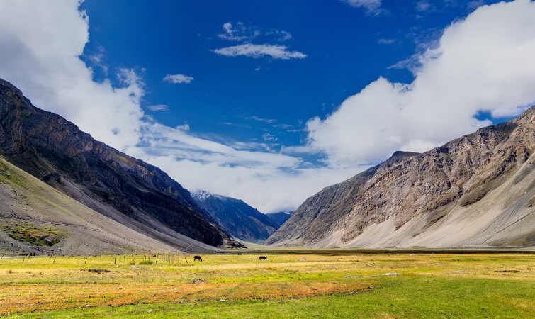 Trekking in Ladakh