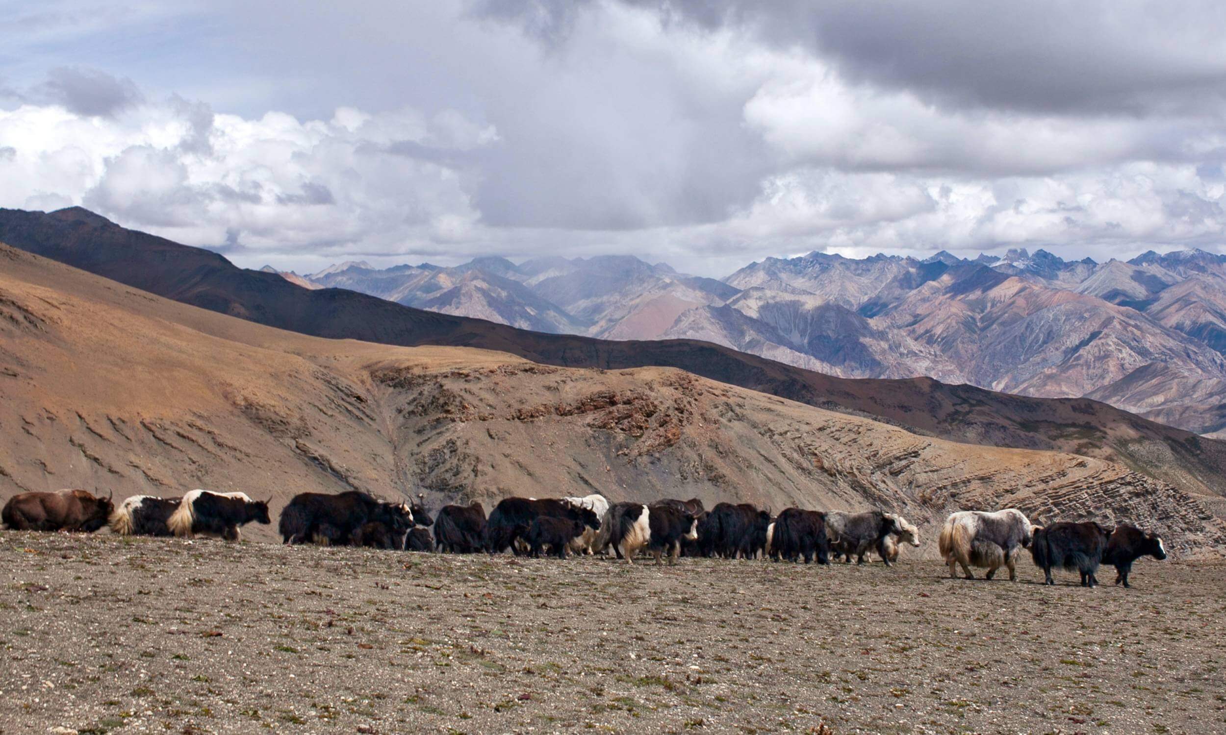 Upper Dolpo Trek Nepal-Best Treks in Nepal