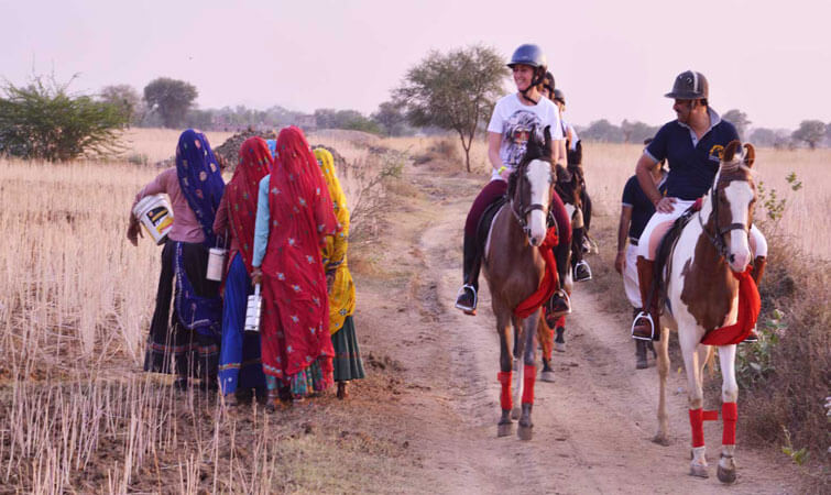 Horse Safari in India