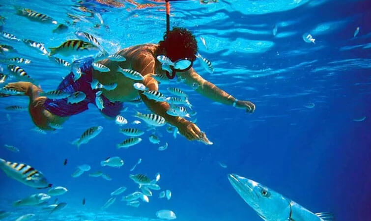 Snorkelling in India