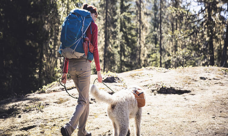 Trekking in Mountains