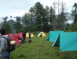 Auli Gorson Bugyal Trek