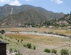 Bali Pass Trek