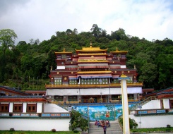 Mountain Biking in Sikkim