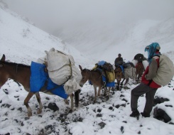 Tsomoriri Trek via Parang La