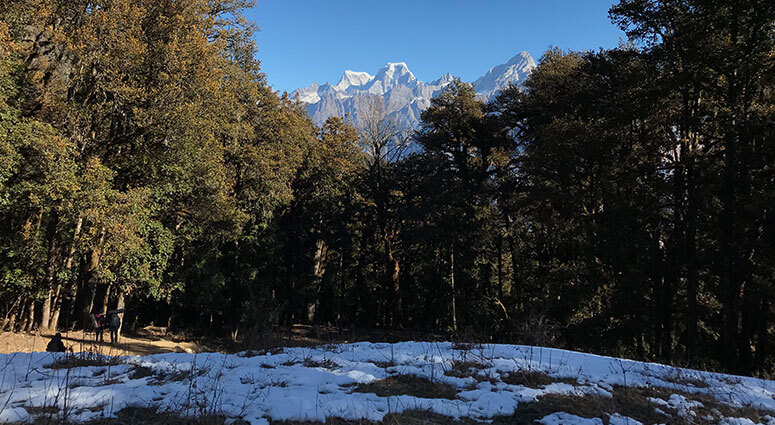 Kuari Pass Trek