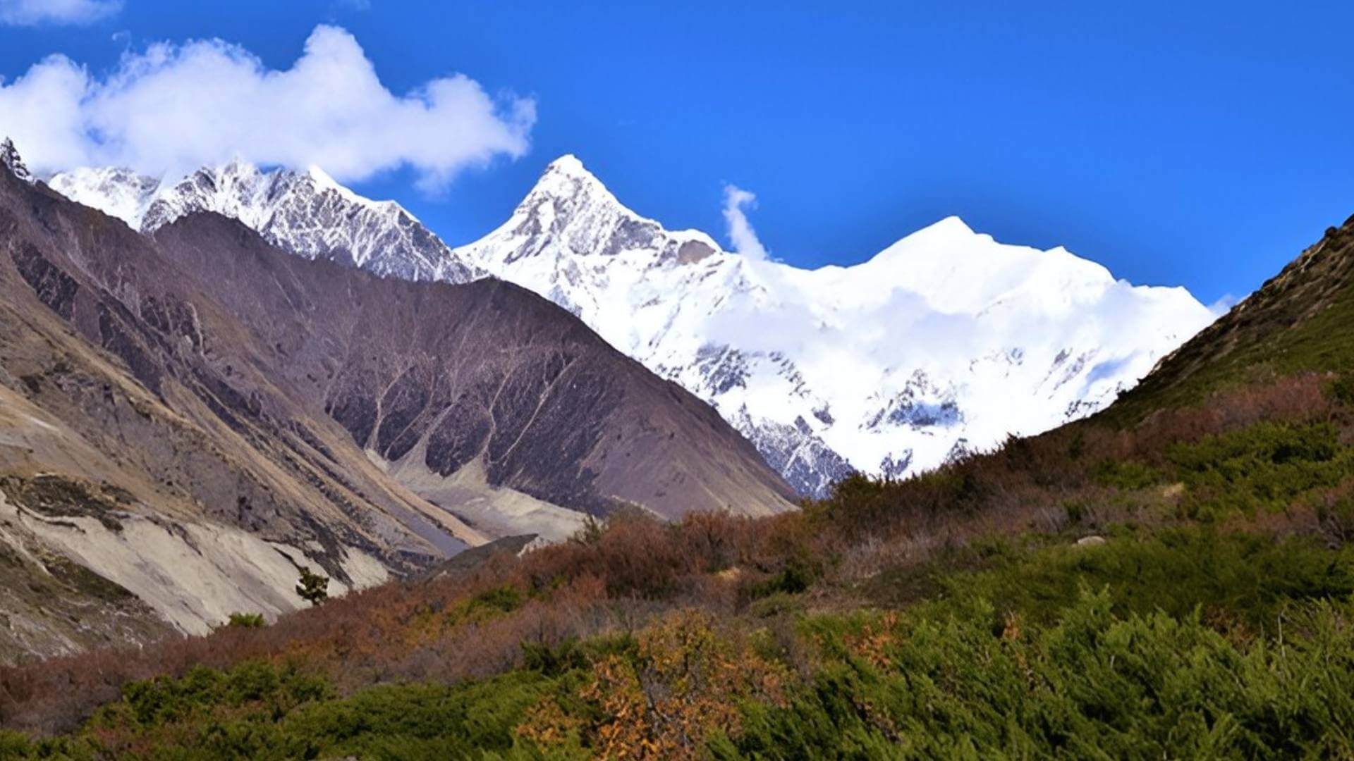 Nanda Devi Milam Glacier Trek
