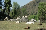 Panduropa - Setan - Chhika Sightseeing