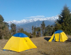 Camping in Chopta